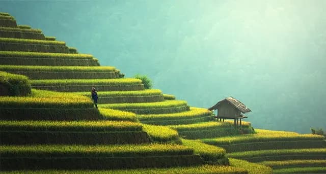 Les enjeux de l'exploration responsable et éthique