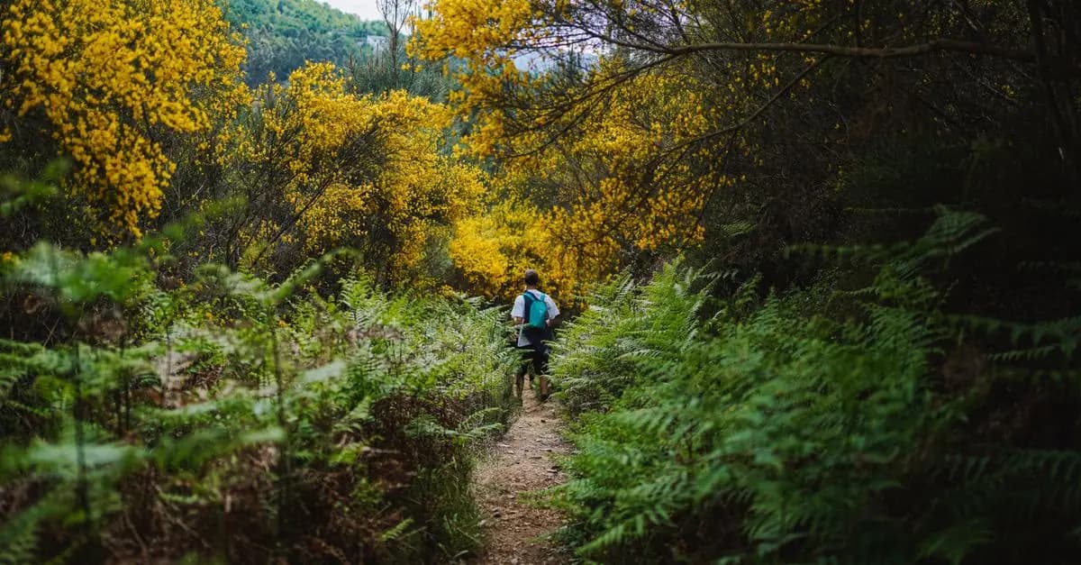 Les meilleures pratiques pour réussir votre exploration en milieu naturel