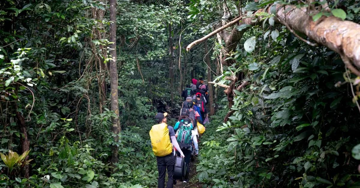 Guide complet pour planifier votre expédition en pleine nature
