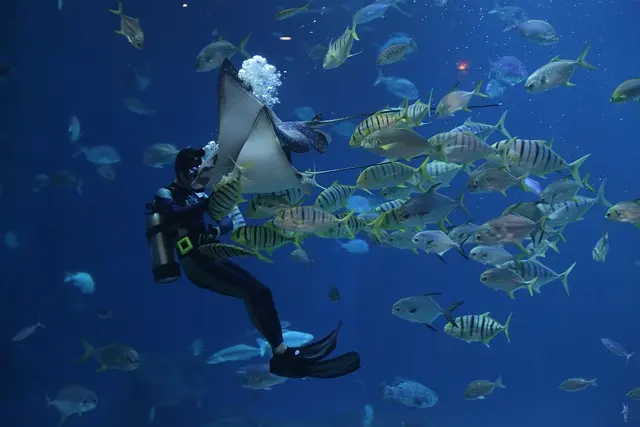 5 erreurs courantes à éviter lors de votre première exploration sous-marine