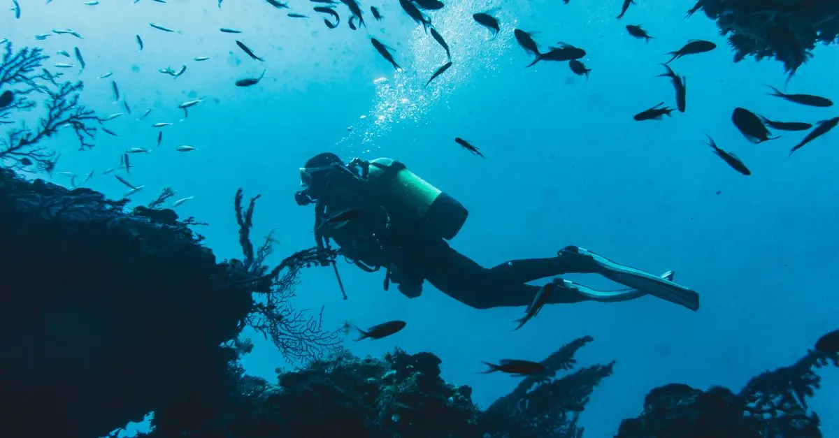 Comment choisir le meilleur équipement pour l'exploration sous-marine