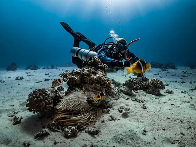 Comment réussir une exploration sous-marine en toute sécurité