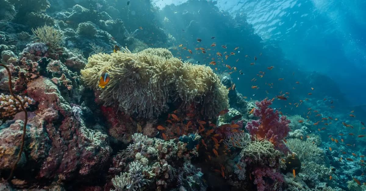 7 conseils incontournables pour réussir votre exploration sous-marine