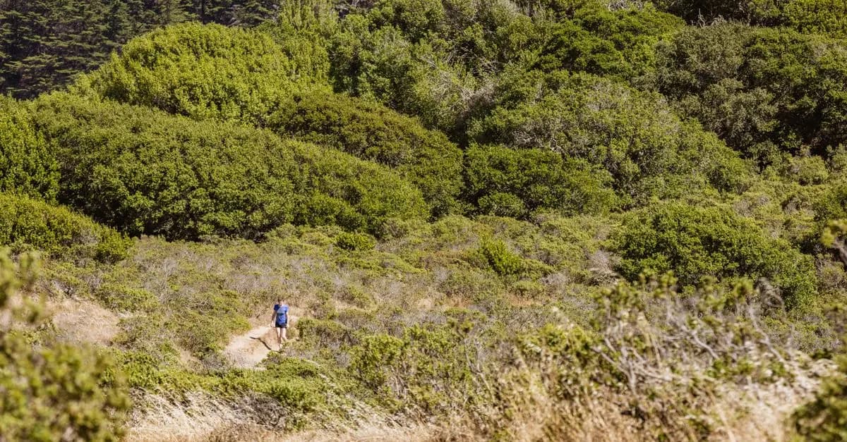 Les meilleures pratiques pour l'exploration responsable en milieu naturel