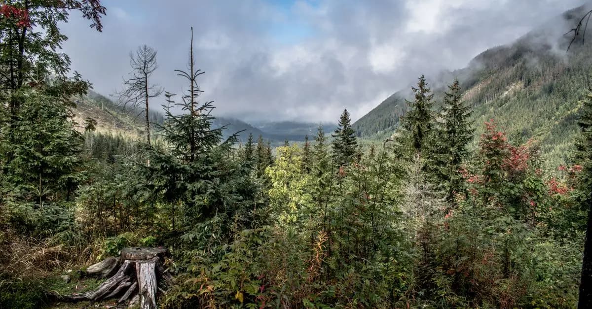 Les plus belles randonnées à faire en pleine nature