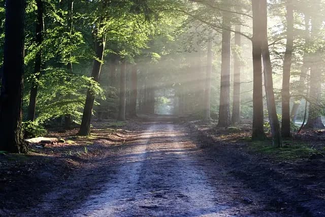 Comment réussir une exploration en pleine nature : Guide complet