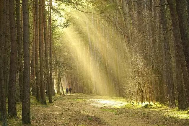 Les défis d'exploration en pleine nature : comment les surmonter