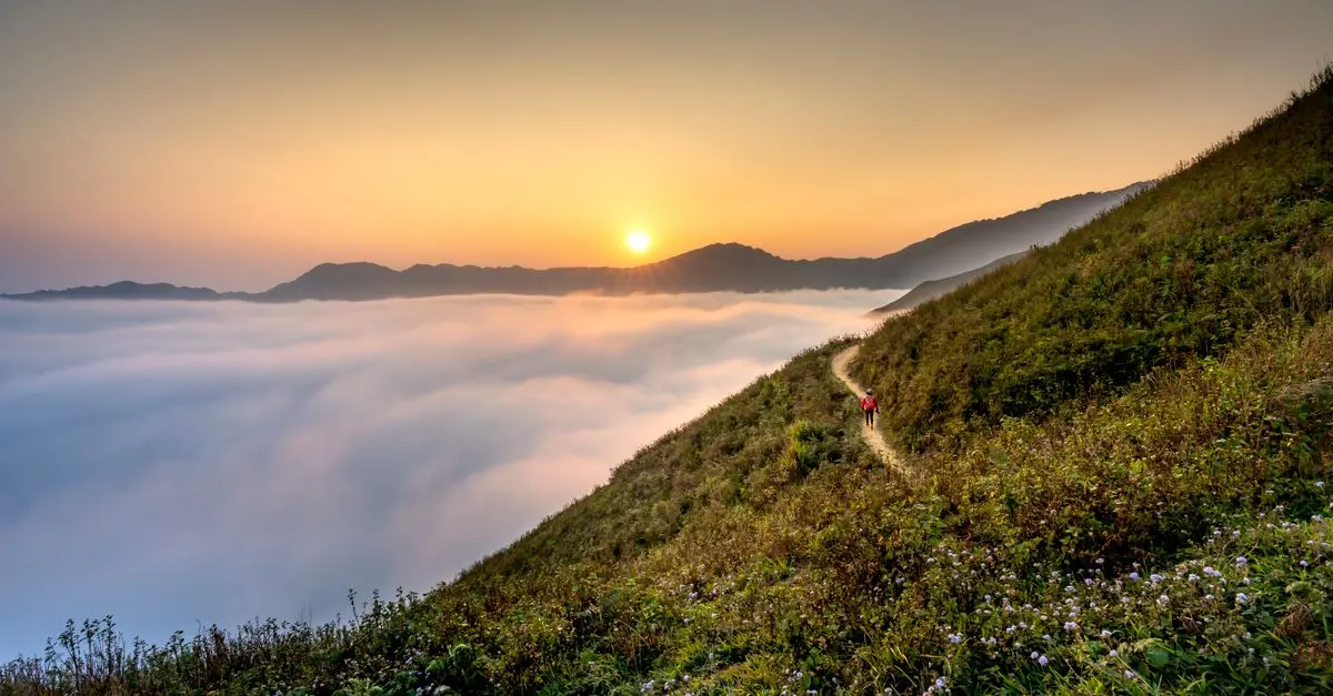 Les secrets des meilleures explorations en milieu naturel