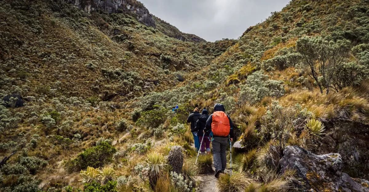 Les erreurs courantes à éviter lors d'une exploration en milieu naturel