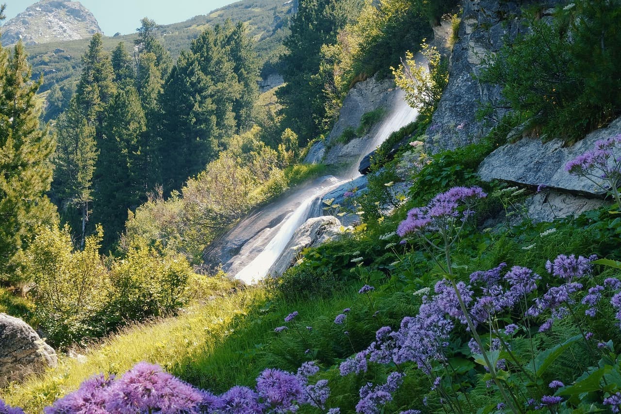 Comment réussir une exploration en milieu naturel : Guide complet