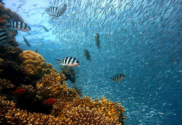 Les erreurs courantes à éviter en exploration sous-marine