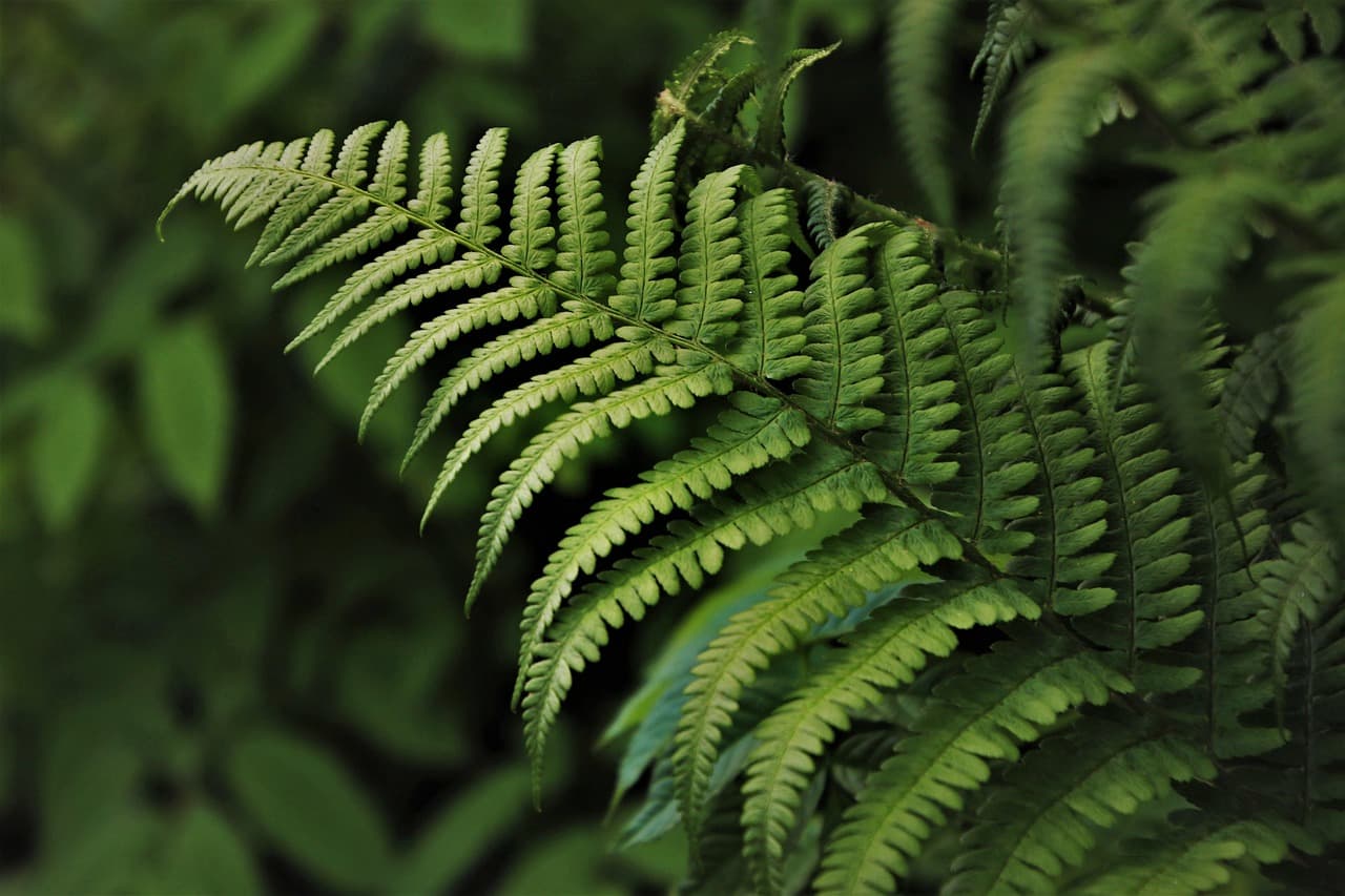 5 conseils pour réussir une exploration en milieu naturel