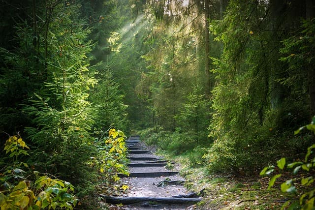 Explorer en toute sécurité : 7 astuces indispensables